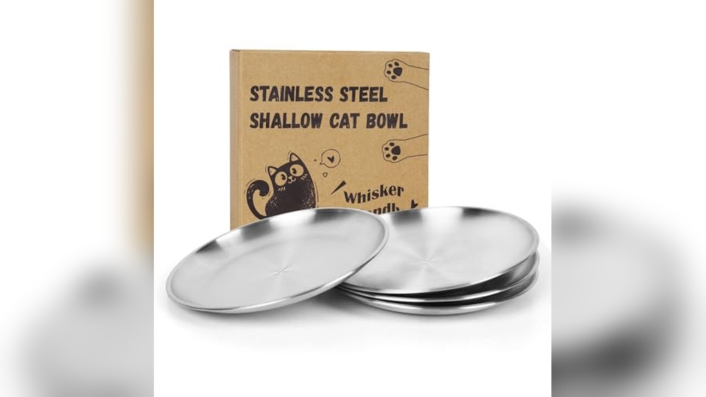 Best Cat Bowls for Whisker Fatigue