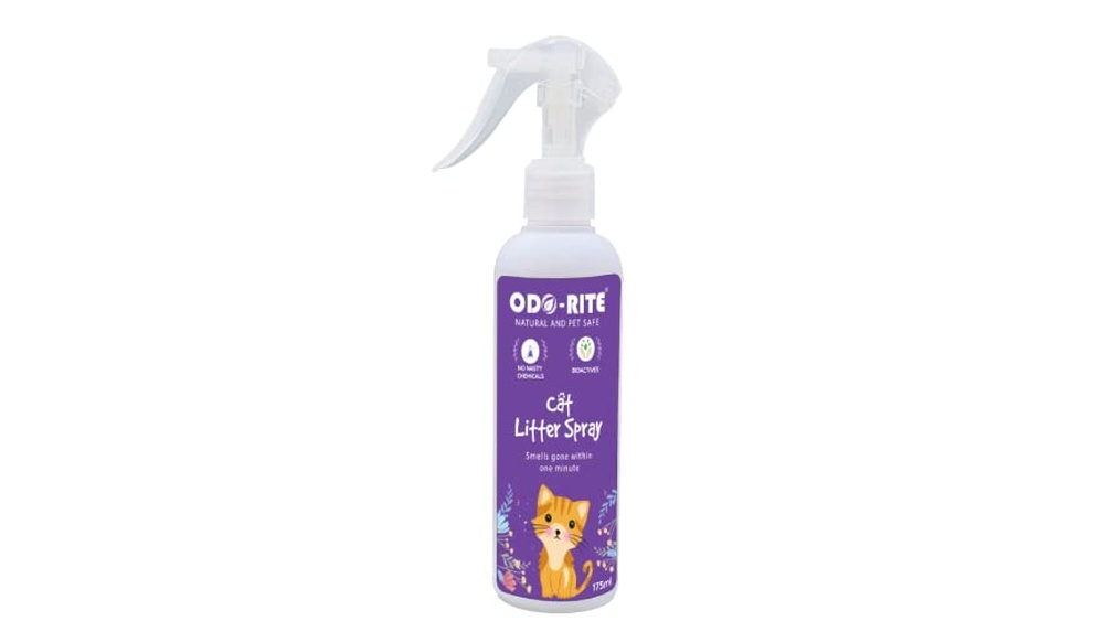 Best Cat Box for Smell Control: Top Odor-Eliminating Litter Solutions
