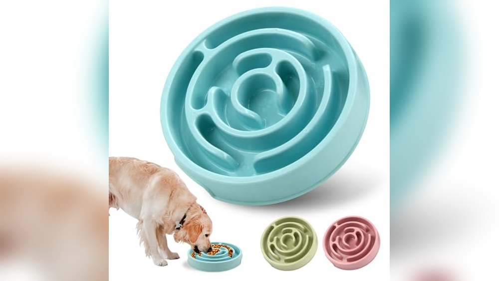 Best Cat Breed for Dogs