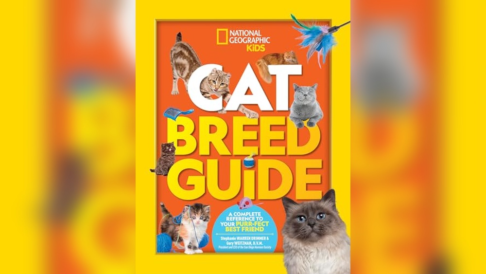 Best Cat Breed for Me: Ultimate Guide to Choosing Your Perfect Feline Friend