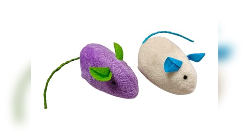 Best Cat Breed for Mouse Hunting