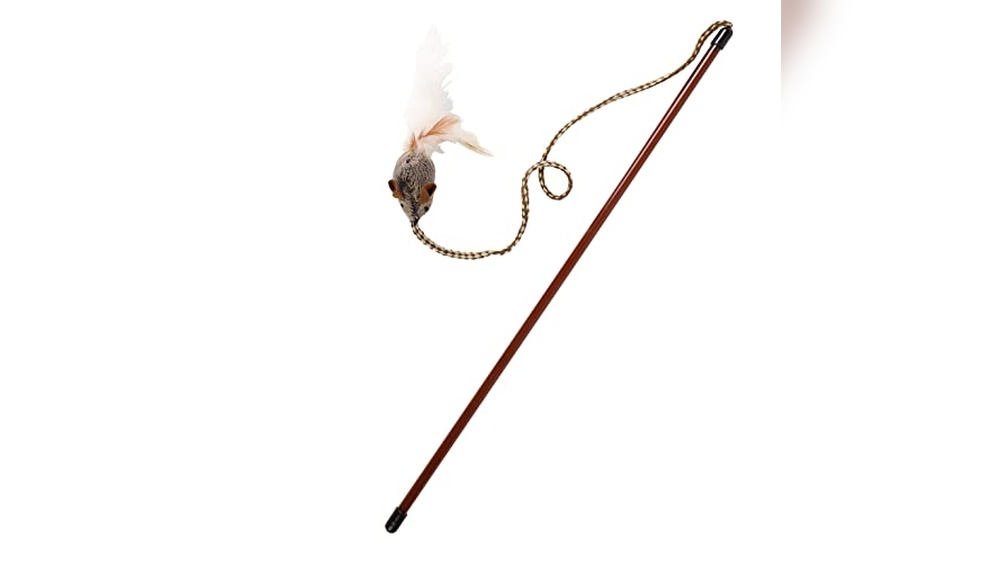 Best Cat Breed for Mousing: Top Picks with Play-N-Squeak Toy