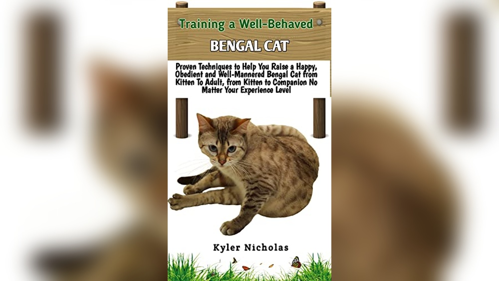 Best Cat Breeders Near Me: Top Tips for Raising Well-Behaved Cats