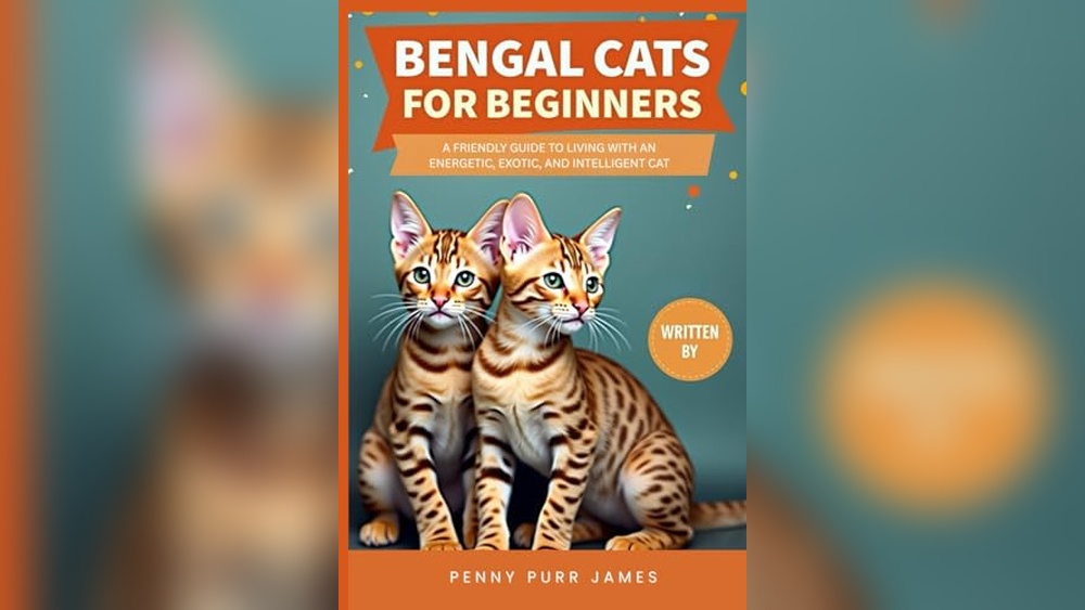 Best Cat Breeds for Beginners: Top Friendly and Low-Maintenance Pets