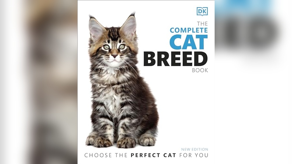 Best Cat Breeds for Families: Top Friendly Cats for Your Home