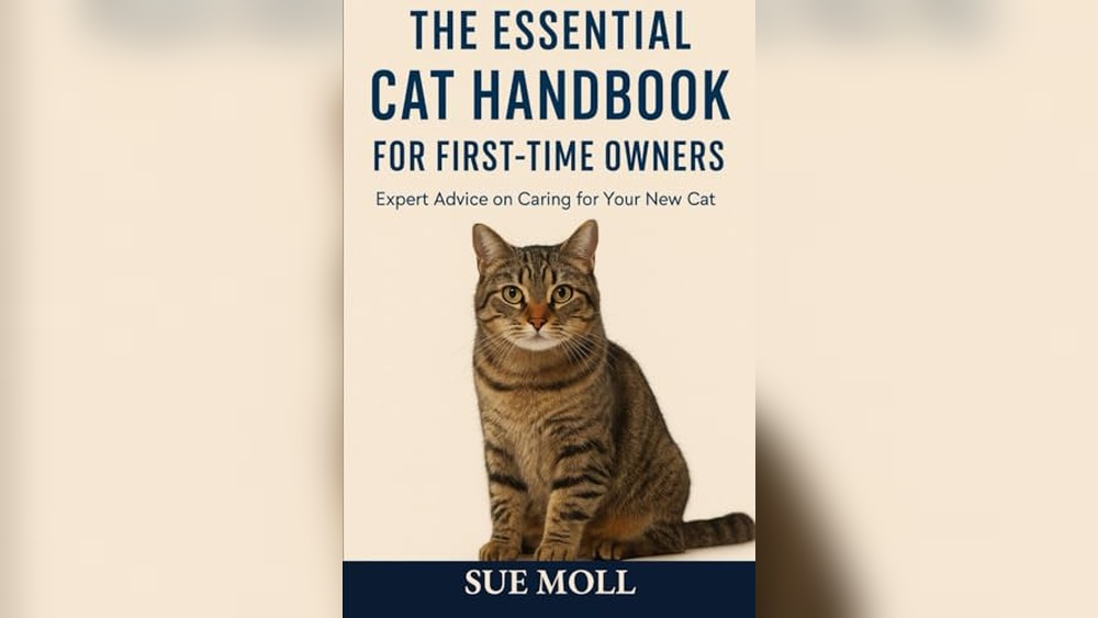 Best Cat Breeds for First Time Owners: Top Picks and Essential Care Tips