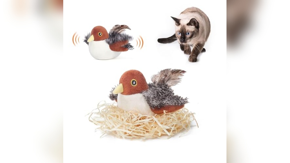 Best Cat Breeds for Home