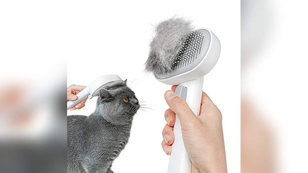 Best Cat Brush for British Shorthair