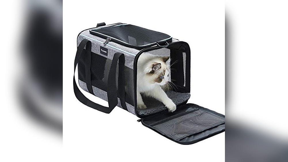 Best Cat Carrier for Anxious Cats: Top Comfortable Travel Solutions