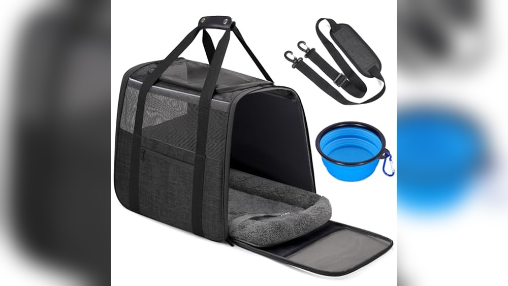 Best Cat Carrier for Scared Cat: Comfort and Safety Combined