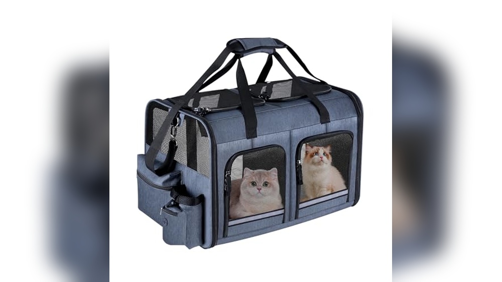 Best Cat Carrier for Two Cats: Top Double Compartments Reviewed