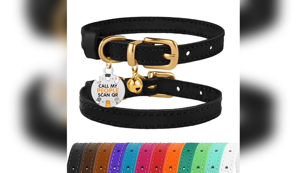 Best Cat Collar That Won'T Come off