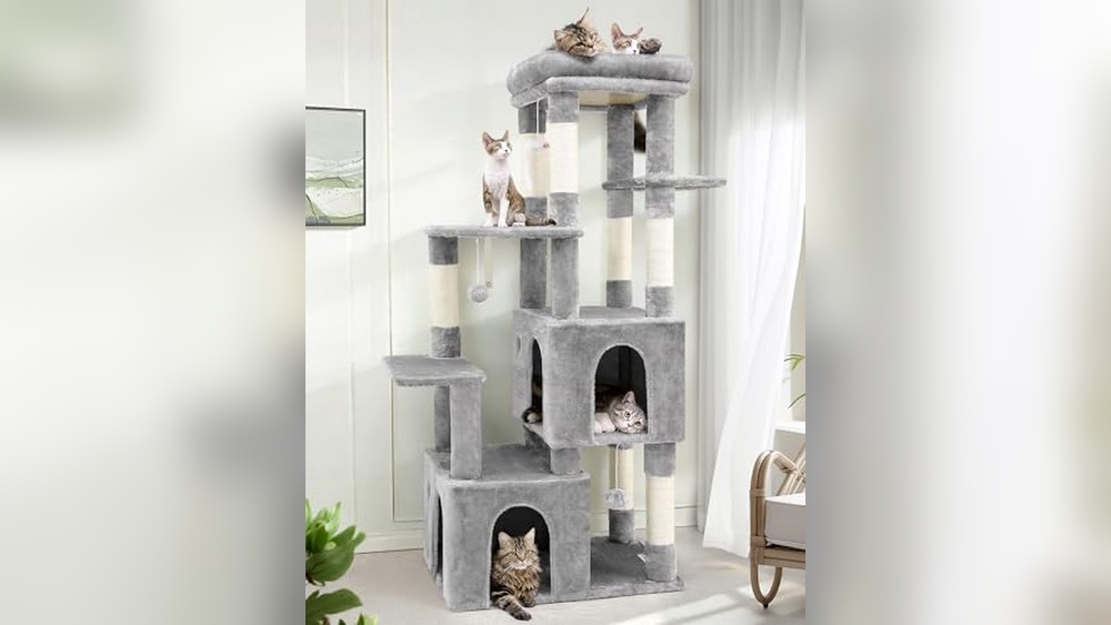 Best Cat Condo for Large Cats: Top Durable Towers for Big Felines