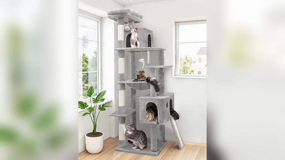 Best Cat Condos for Large Cats: Sturdy, Spacious, and Stylish Picks