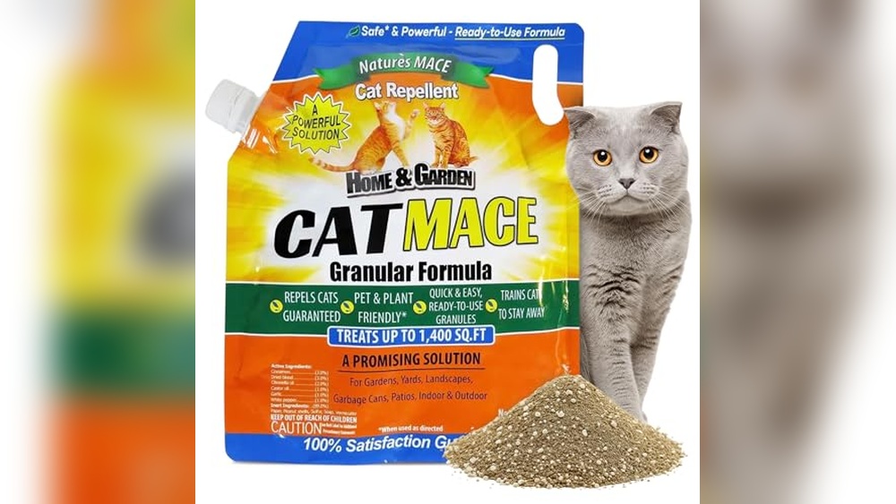 Best Cat Deterrent for Gardens