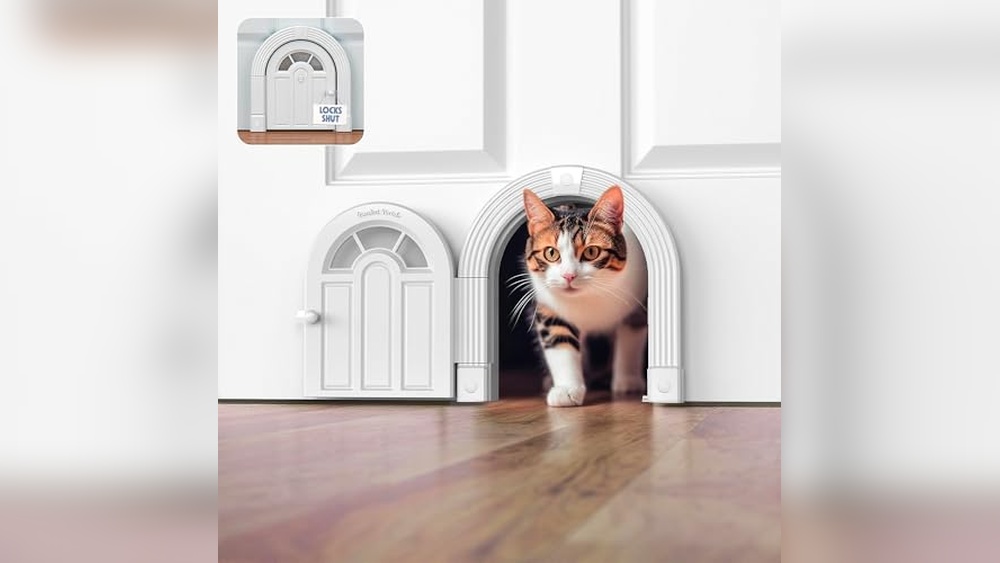 Best Cat Door for Interior Door: Top Secure and Easy DIY Options