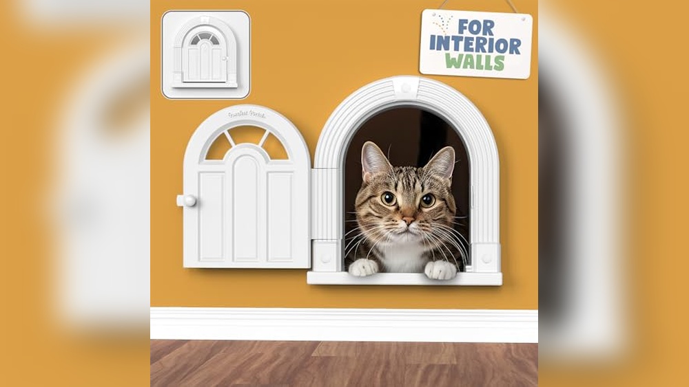 Best Cat Door for Interior Wall: Stylish, Secure, and Easy Installation Guide