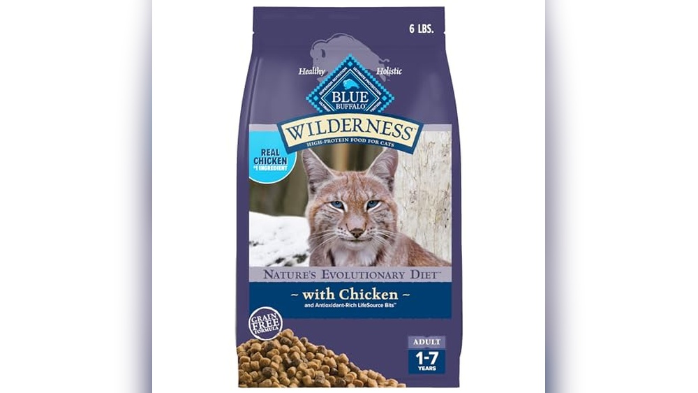 Best Cat Dry Food Brands for Healthy, Happy, and Active Cats