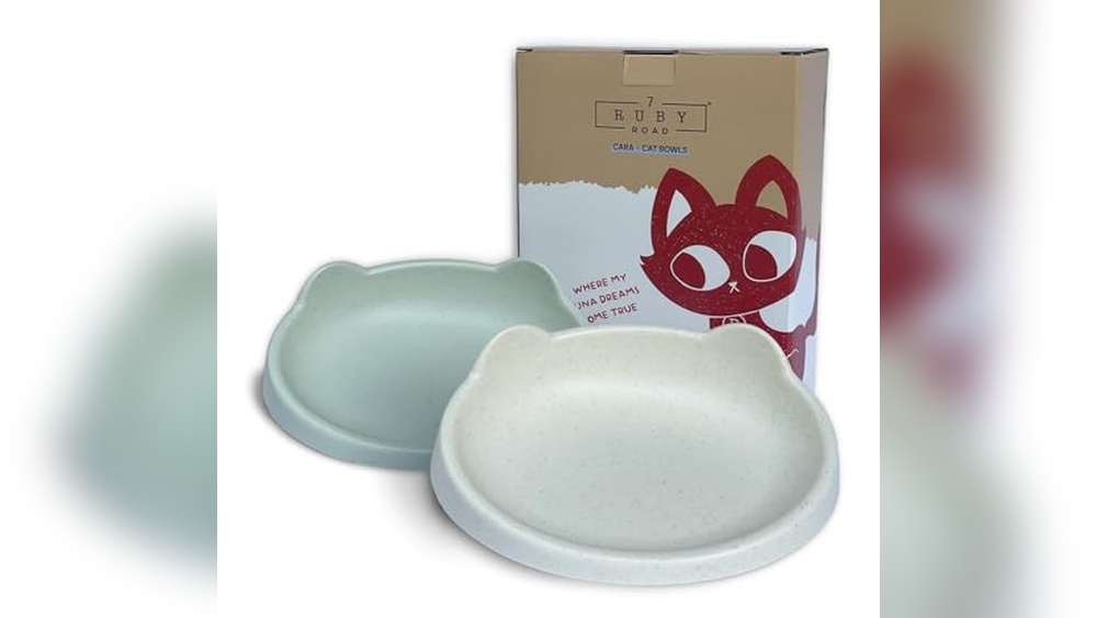Best Cat Food Bowl for Wet Food: Top Whisker-Friendly Picks