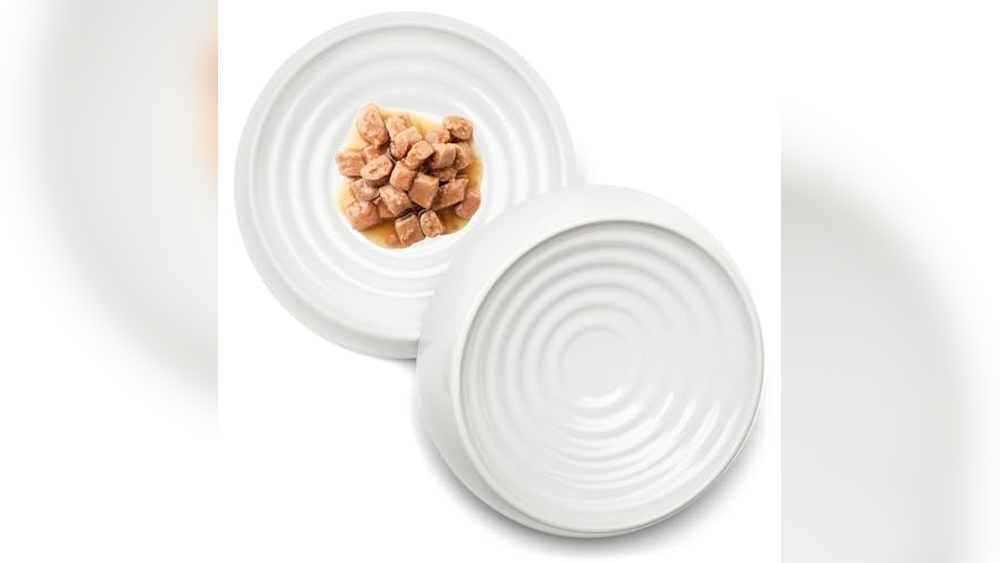 Best Cat Food Bowls for Whisker Fatigue: Top Picks for Comfort