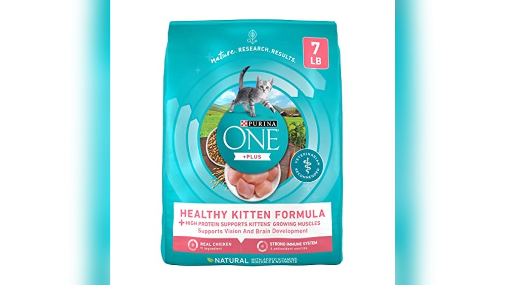 Best Cat Food Brand for Kittens: Top Nutritious Picks for Healthy Growth