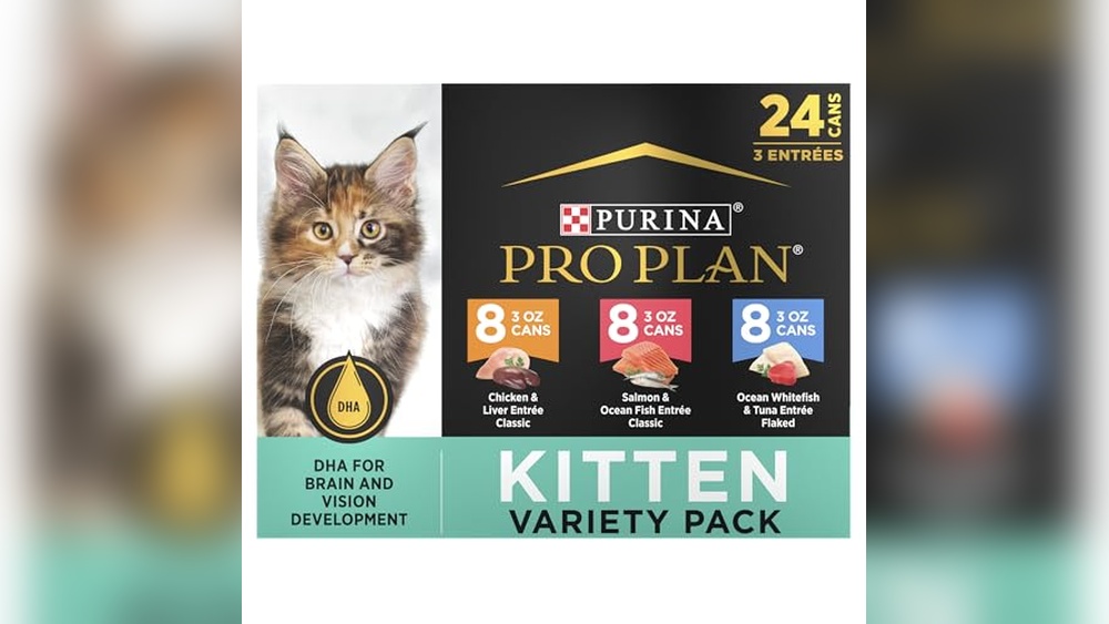 Best Cat Food for 6 Month Old Kitten: Top Nutritious Picks