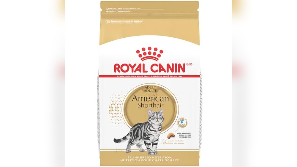 Best Cat Food for American Shorthair: Top Nutritious Picks for Health