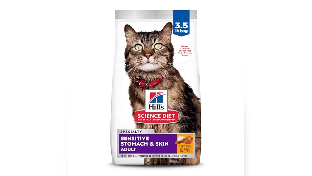 Best Cat Food for Cats With Gas: Top Digestive Health Solutions