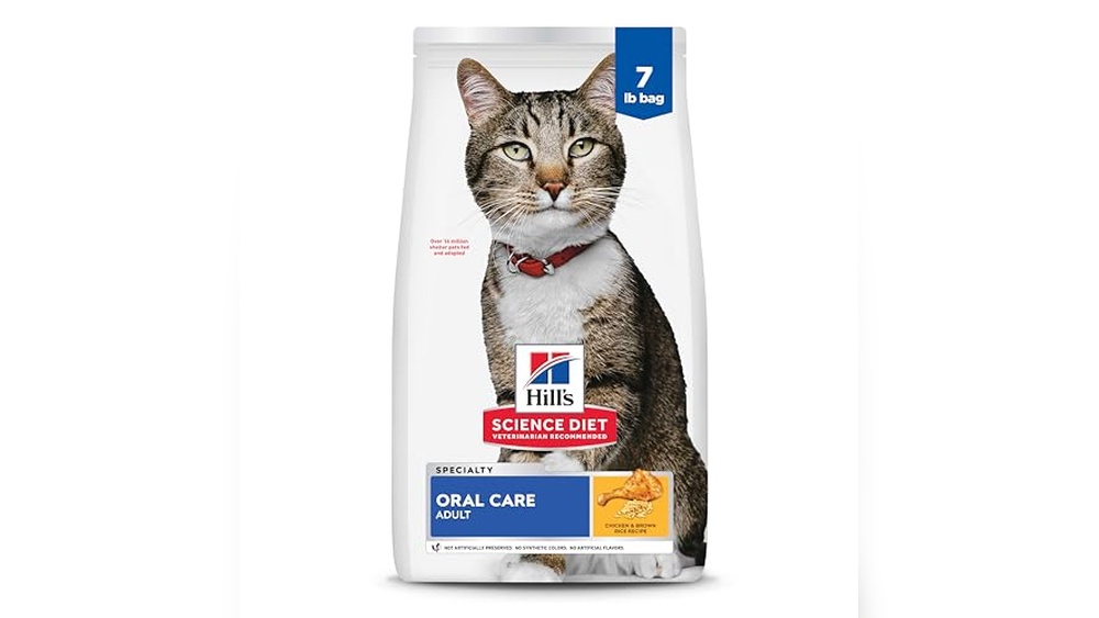 Best Cat Food for Dental Health