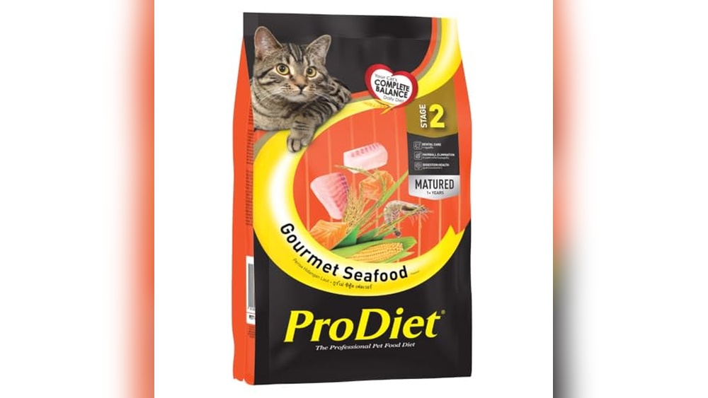 Best Cat Food for Feline Leukemia: Top Nutritious Choices for Health