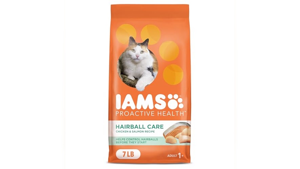 Best Cat Food for Hairball Control