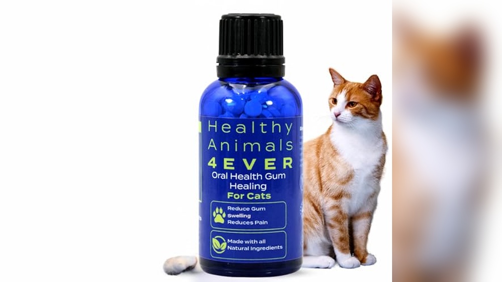 Best Cat Food for Inflammatory Bowel Disease: Top Gentle Digestive Choices