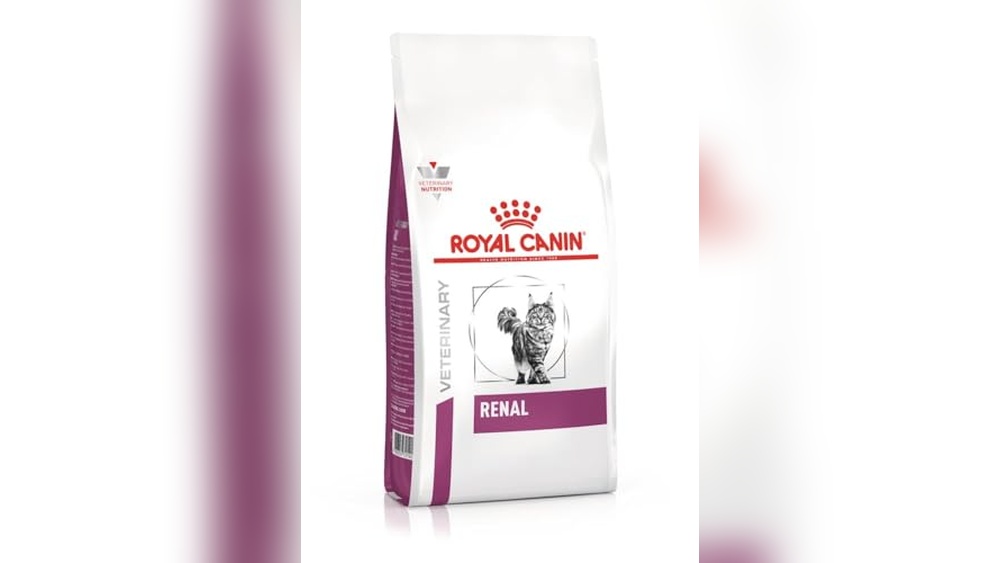 Best Cat Food for Kidney Disease: Top Nutritious Choices for Cats