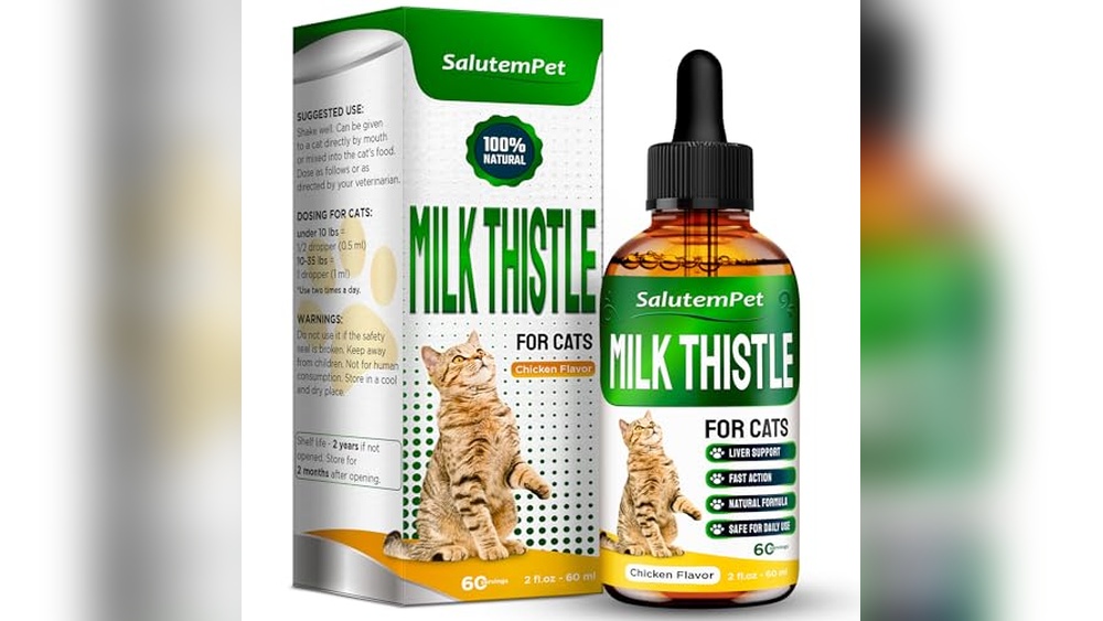 Best Cat Food for Liver Problems: Top Supplements and Tasty Treats