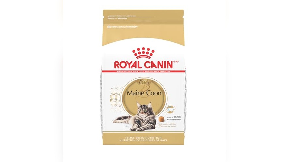 Best Cat Food for Maine Coons