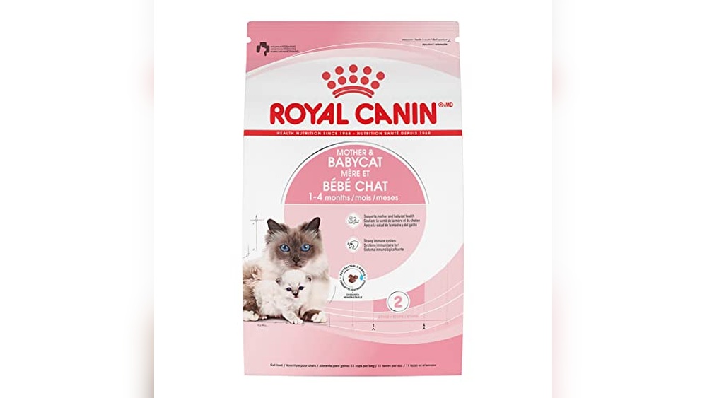 Best Cat Food for Nursing Mother