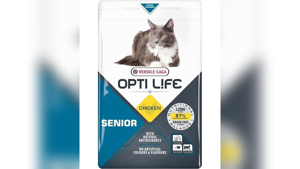 Best Cat Food for Older Cats That Vomit: Top Grain-Free Salmon Choices