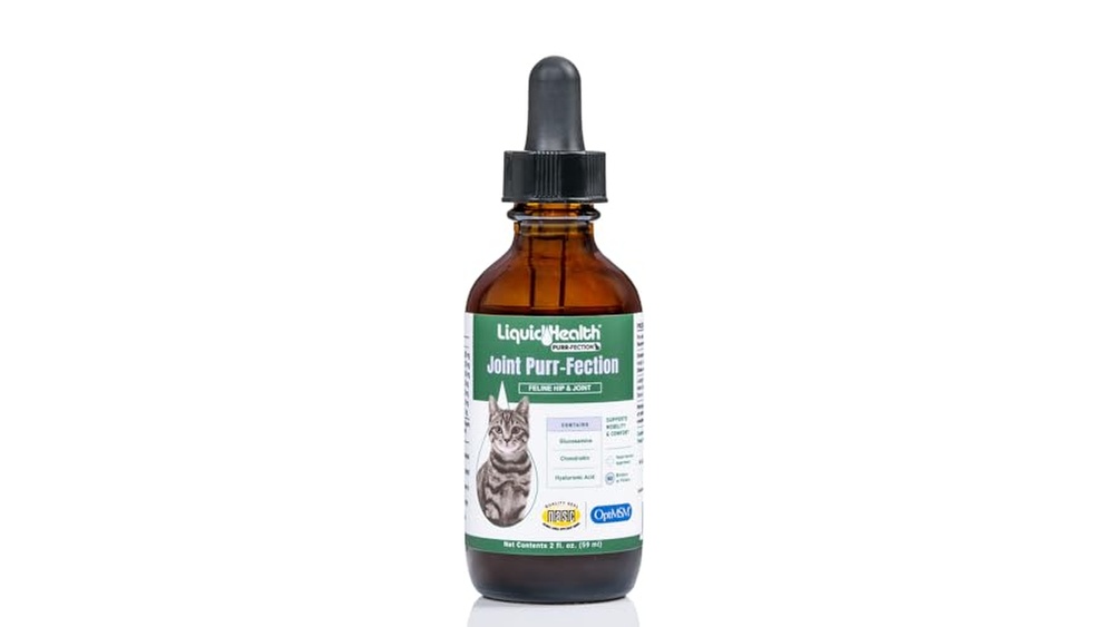 Best Cat Food for Senior Cats With Arthritis: Top Joint Health Picks