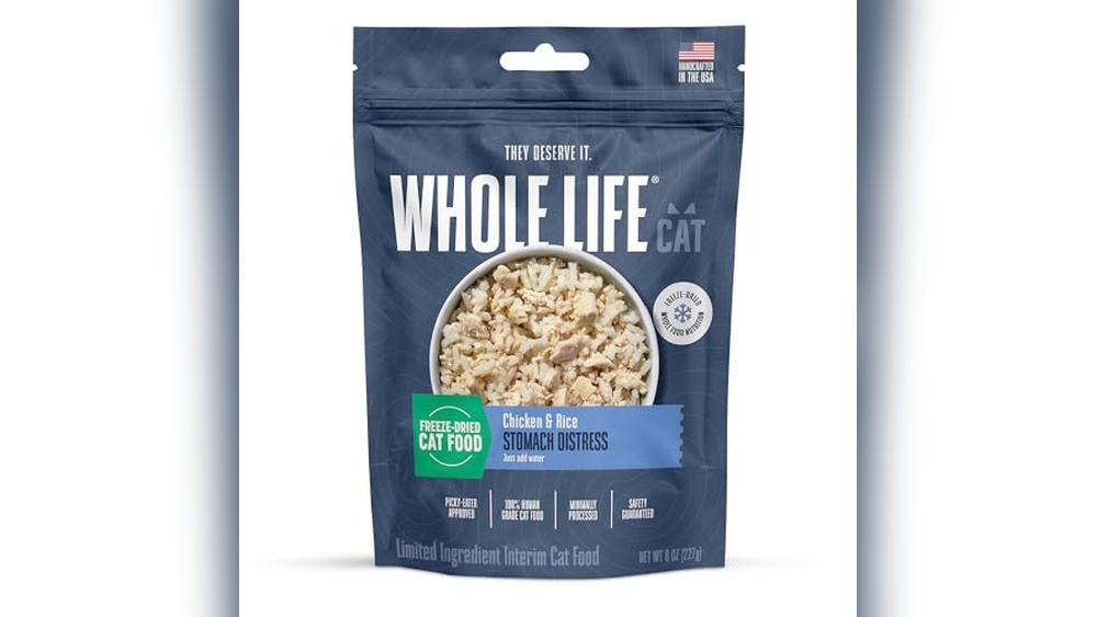 Best Cat Food for Stinky Poop