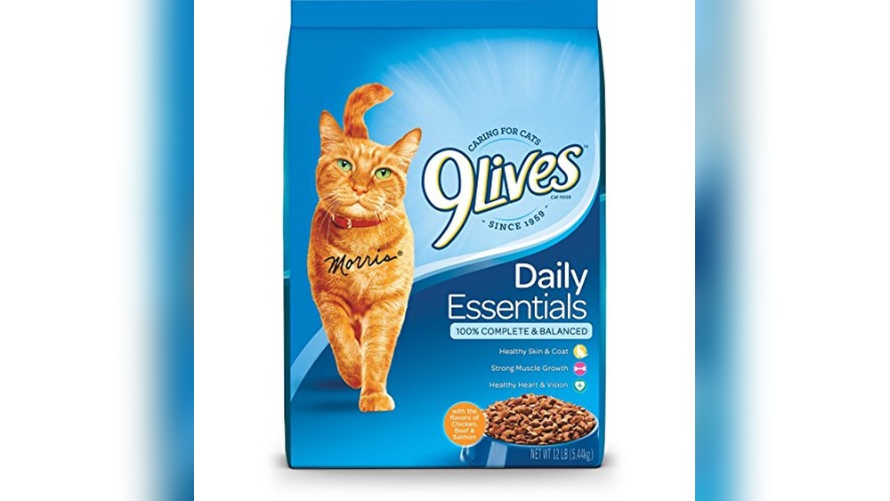 Best Cat Food on a Budget: Top Affordable Picks for Happy Cats