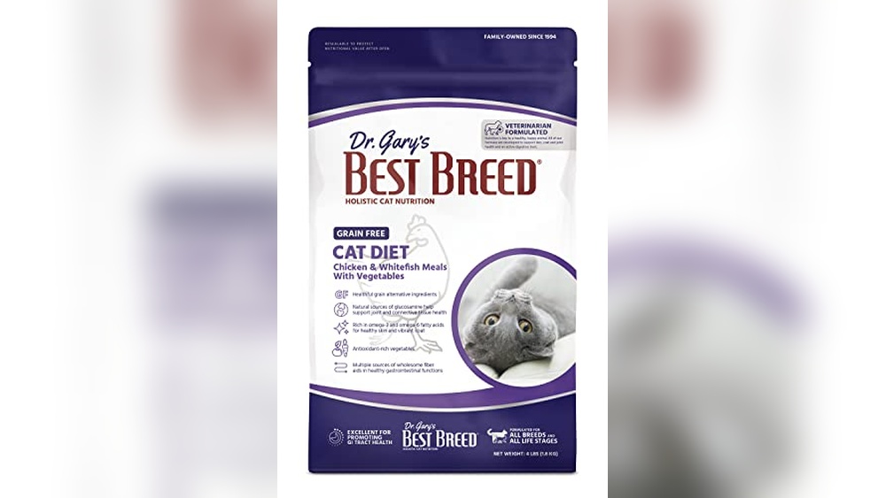 Best Cat for a Family