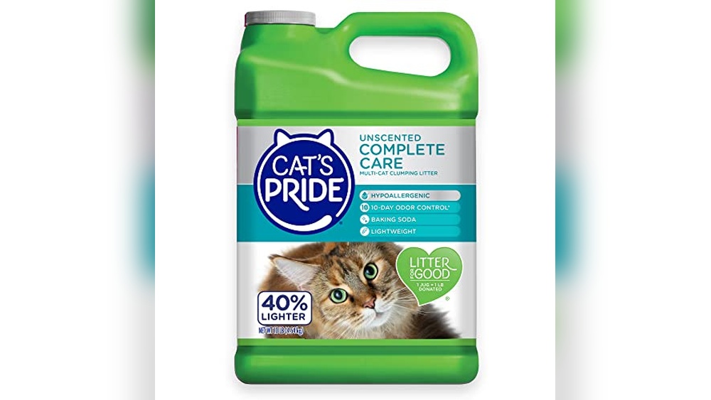 Best Cat for Allergic People: Top Hypoallergenic Products for Sensitive Pets