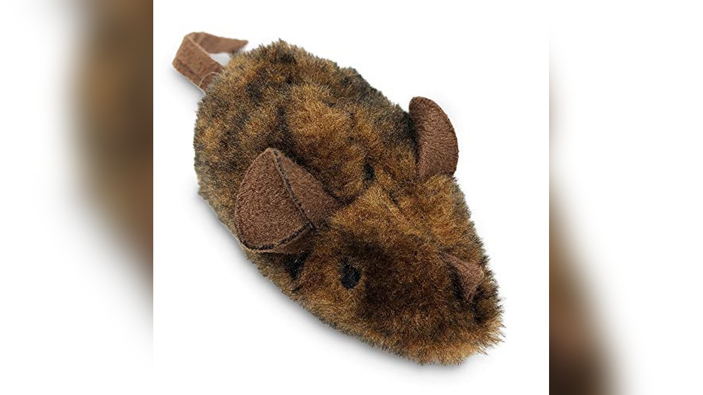 Best Cat for Mice Hunting