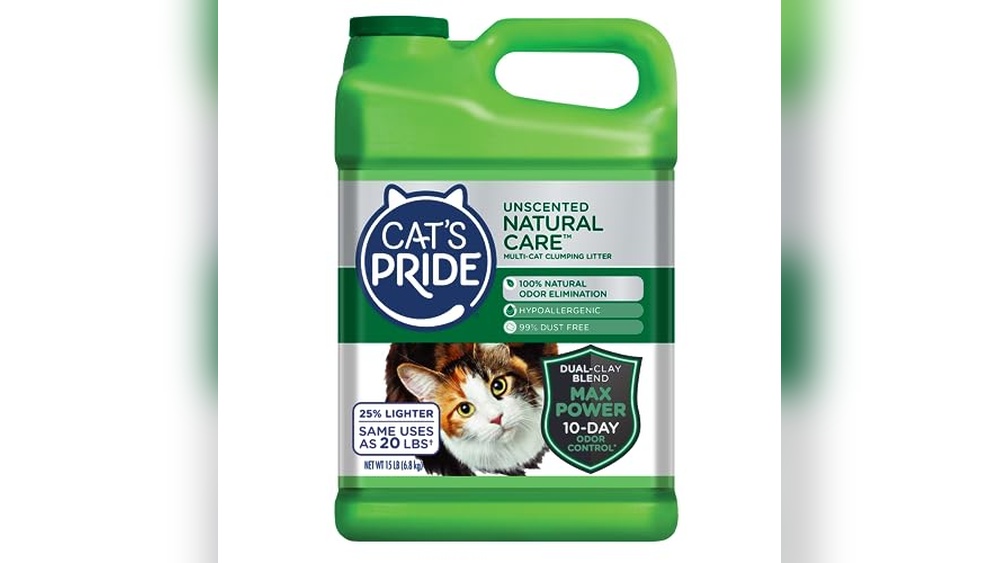 Best Cat for Someone With Allergies: Top Hypoallergenic Cat Products Reviewed