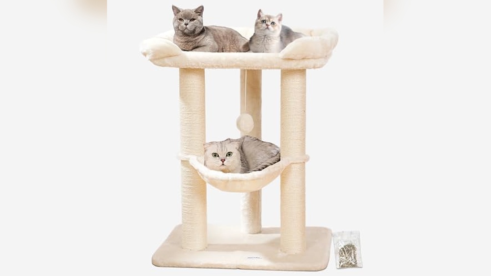 Best Cat Furniture for Large Cats: Top Durable and Cozy Cat Trees