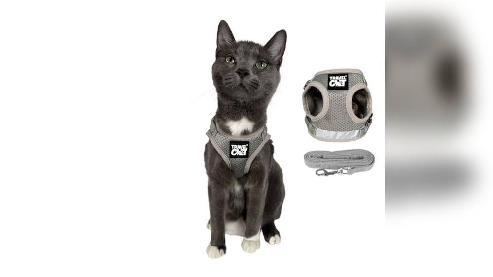 Best Cat Harness for Air Travel: Comfortable, Secure, and Adjustable Picks