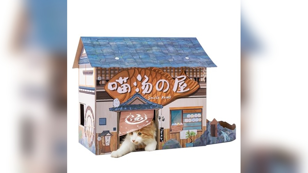 Best Cat Hotel Near Me: Cozy SMILE PAWS Indoor Cat Beds Review