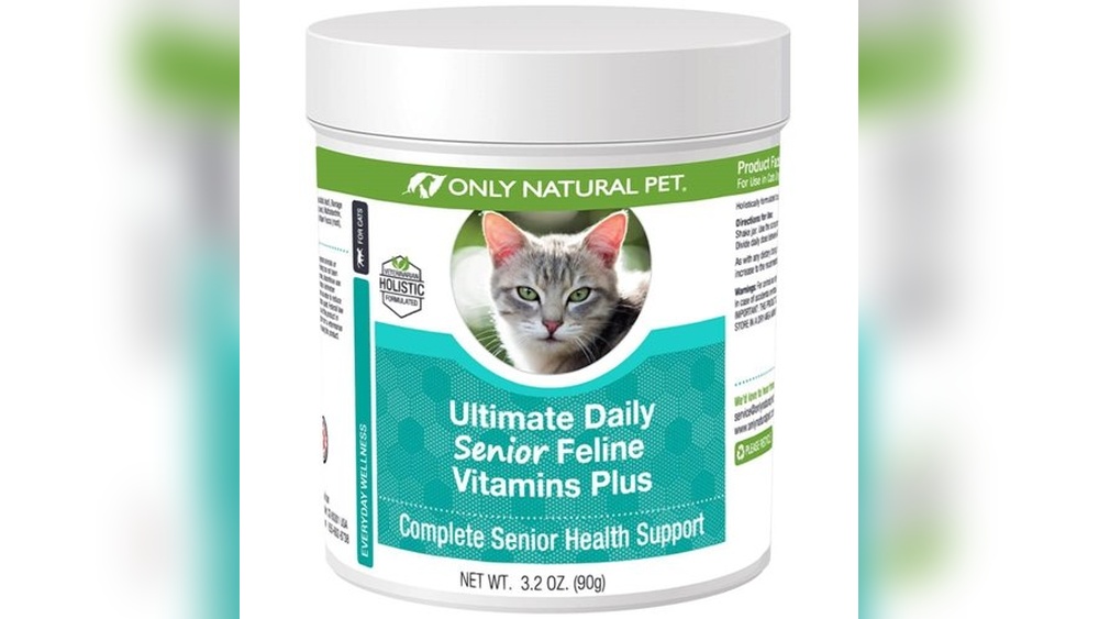 Best Cat Insurance for Older Cats: Top Supplements and Safety Gear