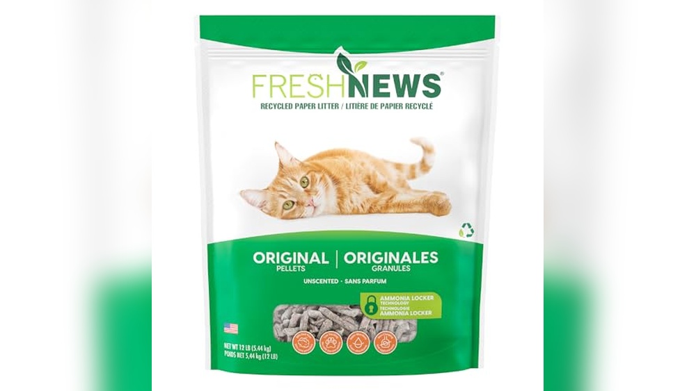 Best Cat Litter After Neutering for Odor Control and Comfort