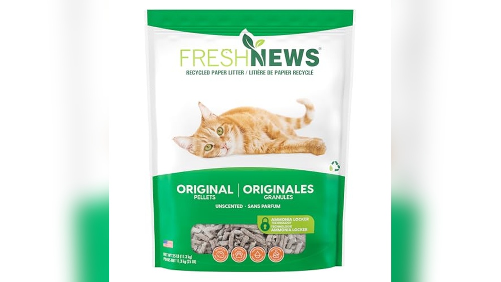 Best Cat Litter After Surgery: Top Picks for Comfort and Cleanliness